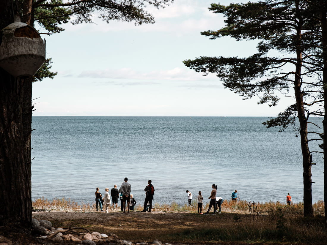 Prangli coast view through pines
