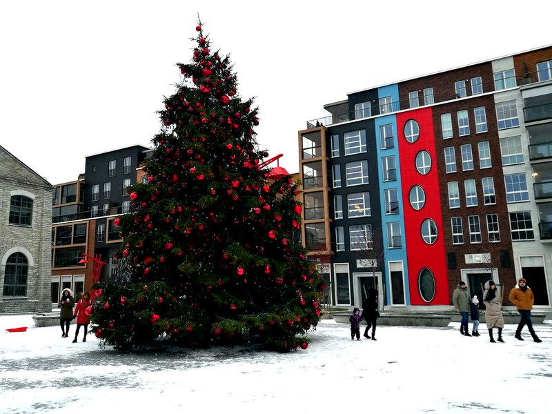 Christmas tree in Noblessner, Tallinn, with modern red-and-white decorations by the harbour