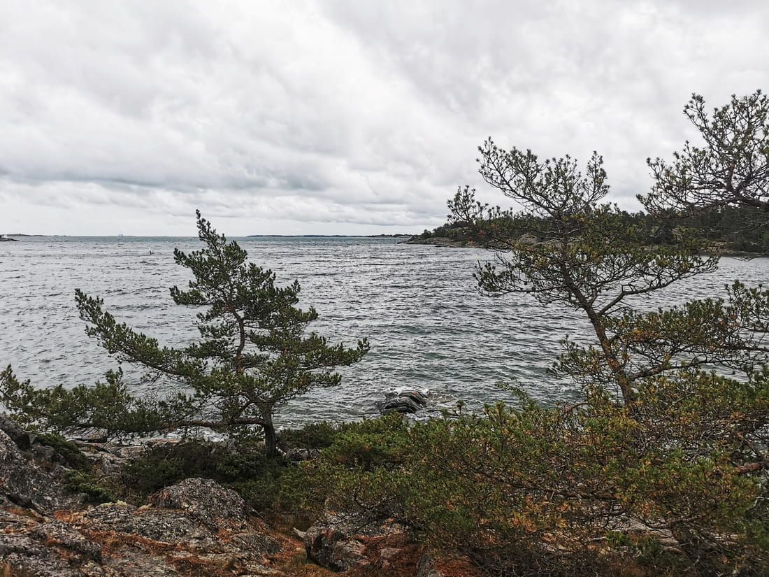 Windy rocky coast of Åland with bent pine trees and choppy sea