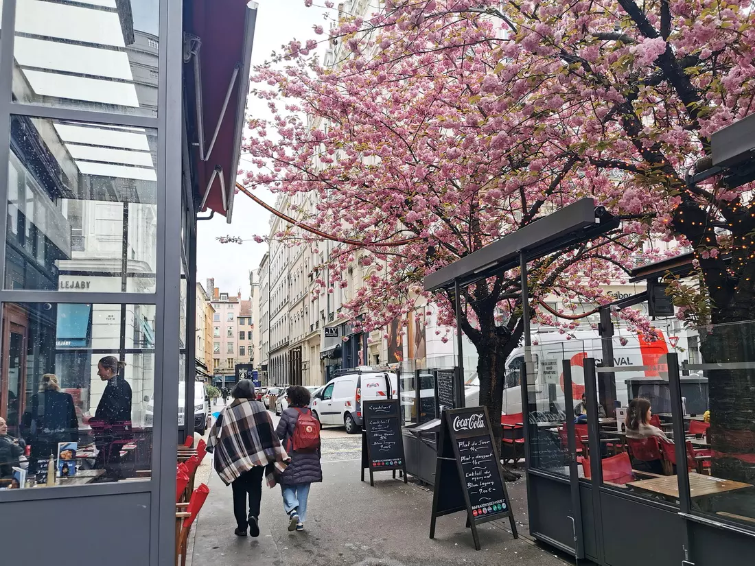 Pedestrian street in Lyon with outdoor cafés and pastry shops, perfect for exploring on foot.
