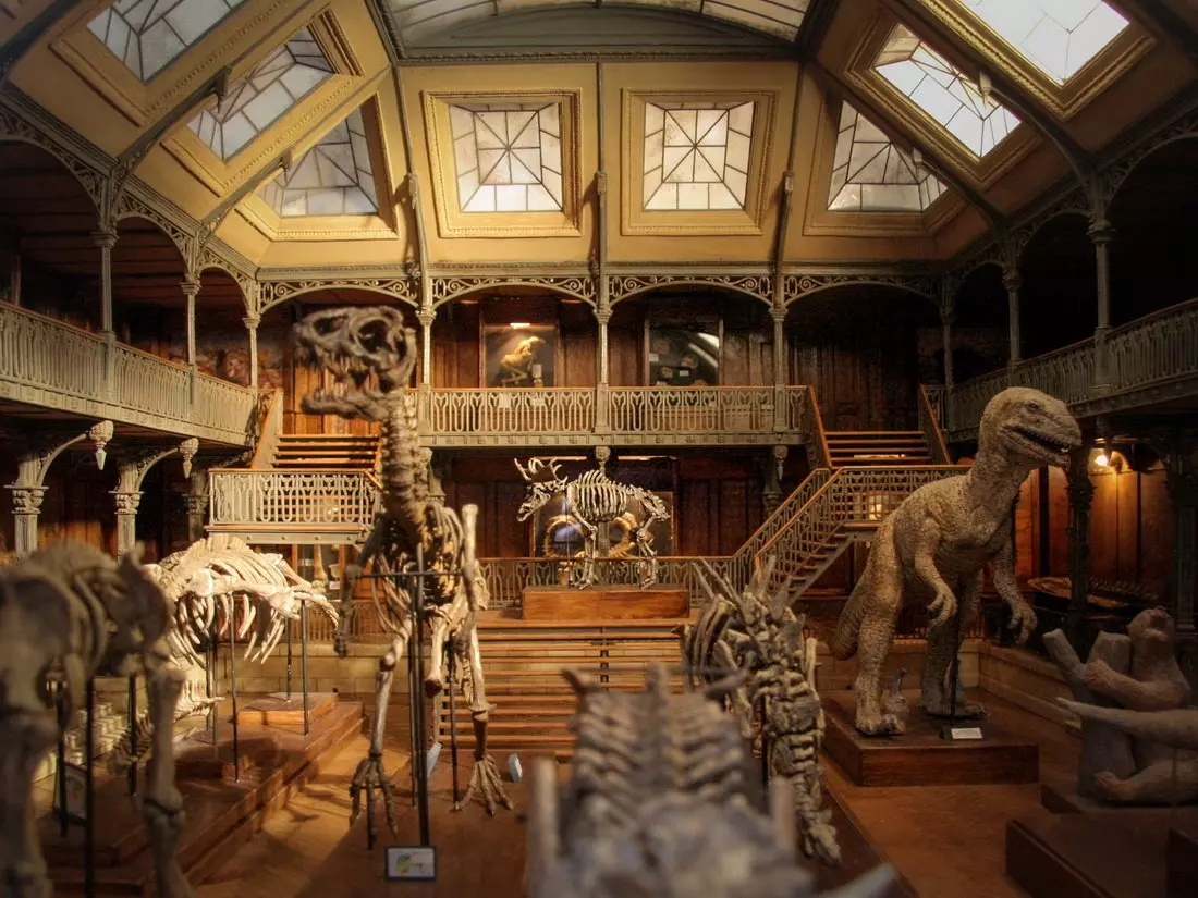 Miniature model of a natural history museum at the Lyon Miniatures Museum, built to scale with full interior details