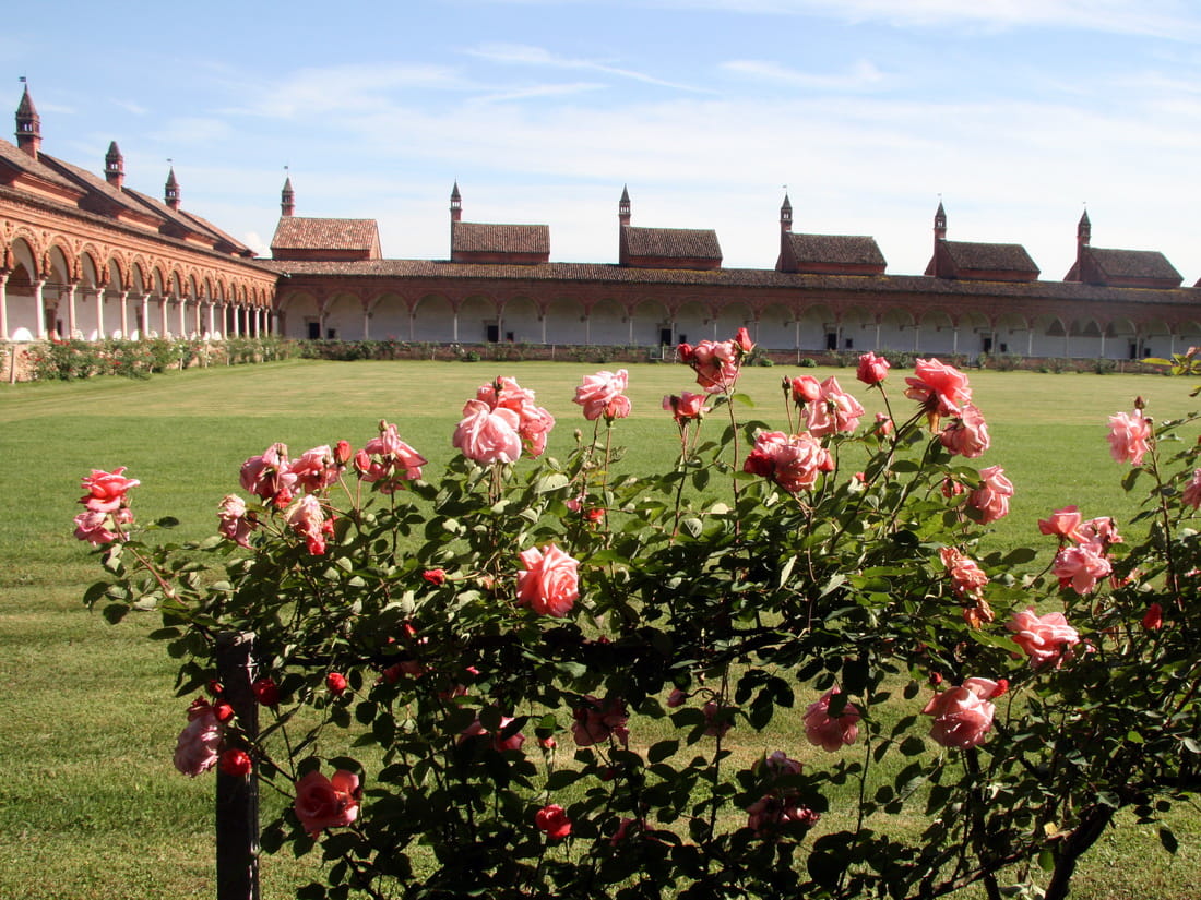 Inner cloister garden of Certosa di Pavia with blooming roses and rows of individual monk cells