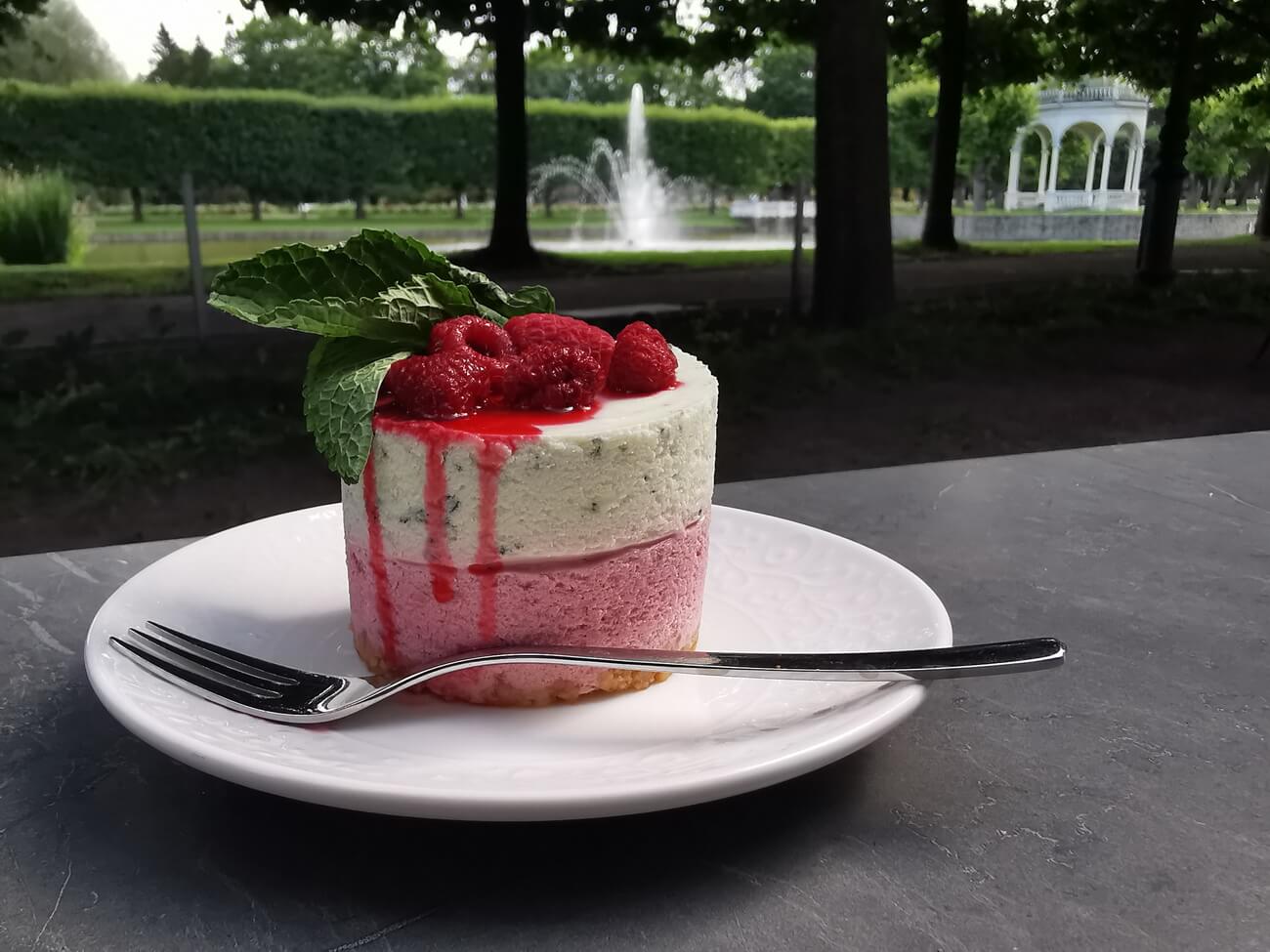Raspberry dessert at a café in Kadriorg Park Tallinn