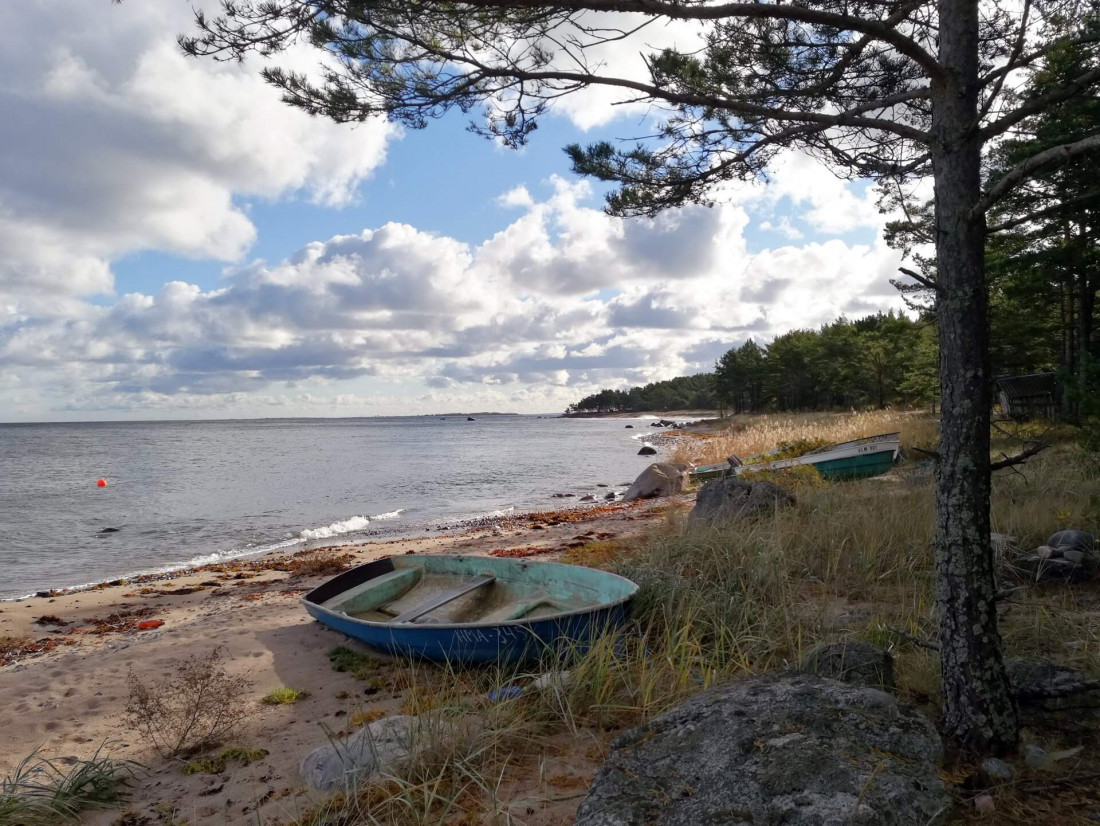 mosquitoes in Estonia along the Baltic coast